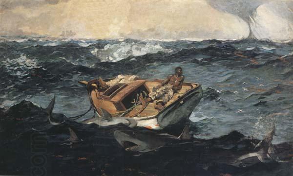 Winslow Homer The Gulf Stream (mk44) China oil painting art